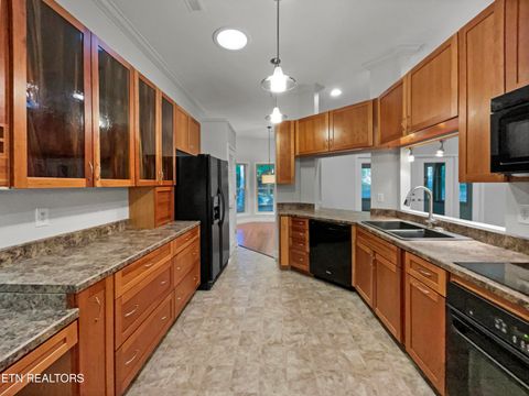 Tiny photo for 324 Golanvyi Tr, Vonore, TN 37885 (MLS # 1316223)