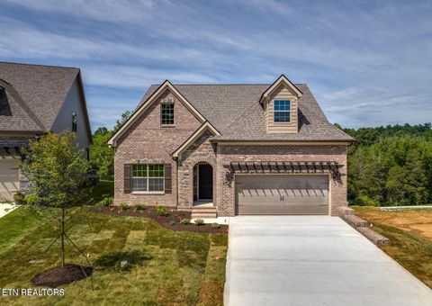 Photo of 3009 Sycamore Creek Ln Ln, Knoxville, TN 37931 (MLS # 1325720)