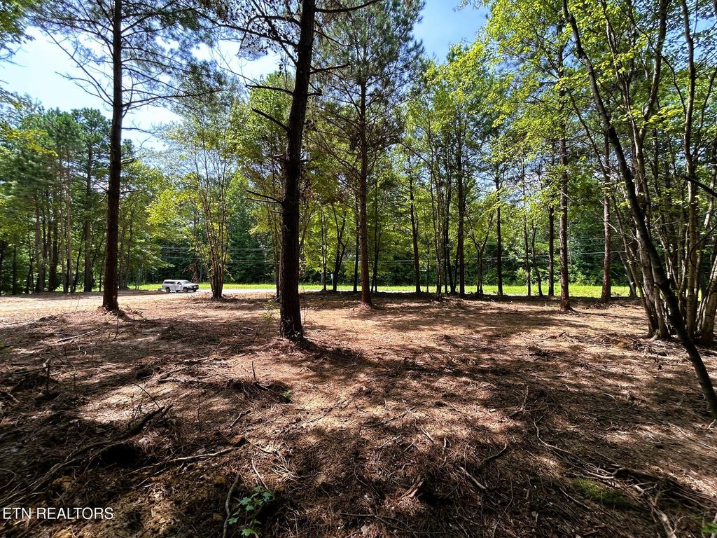 Photo of 3 Highway 304, Ten Mile, TN 37880 (MLS # 1308312)