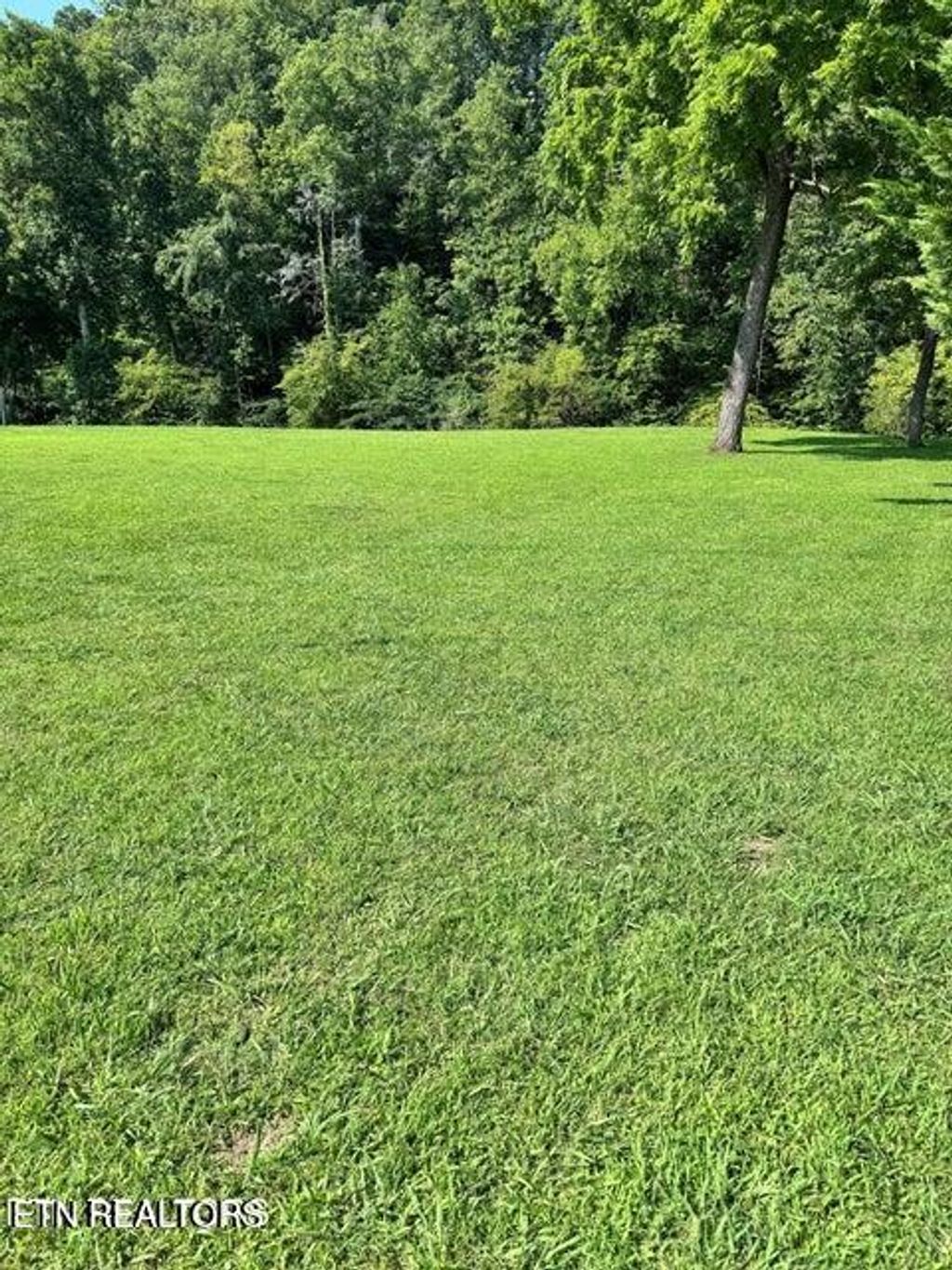 Photo of River Bank Rd #34, Pigeon Forge, TN 37863 (MLS # 1334050)