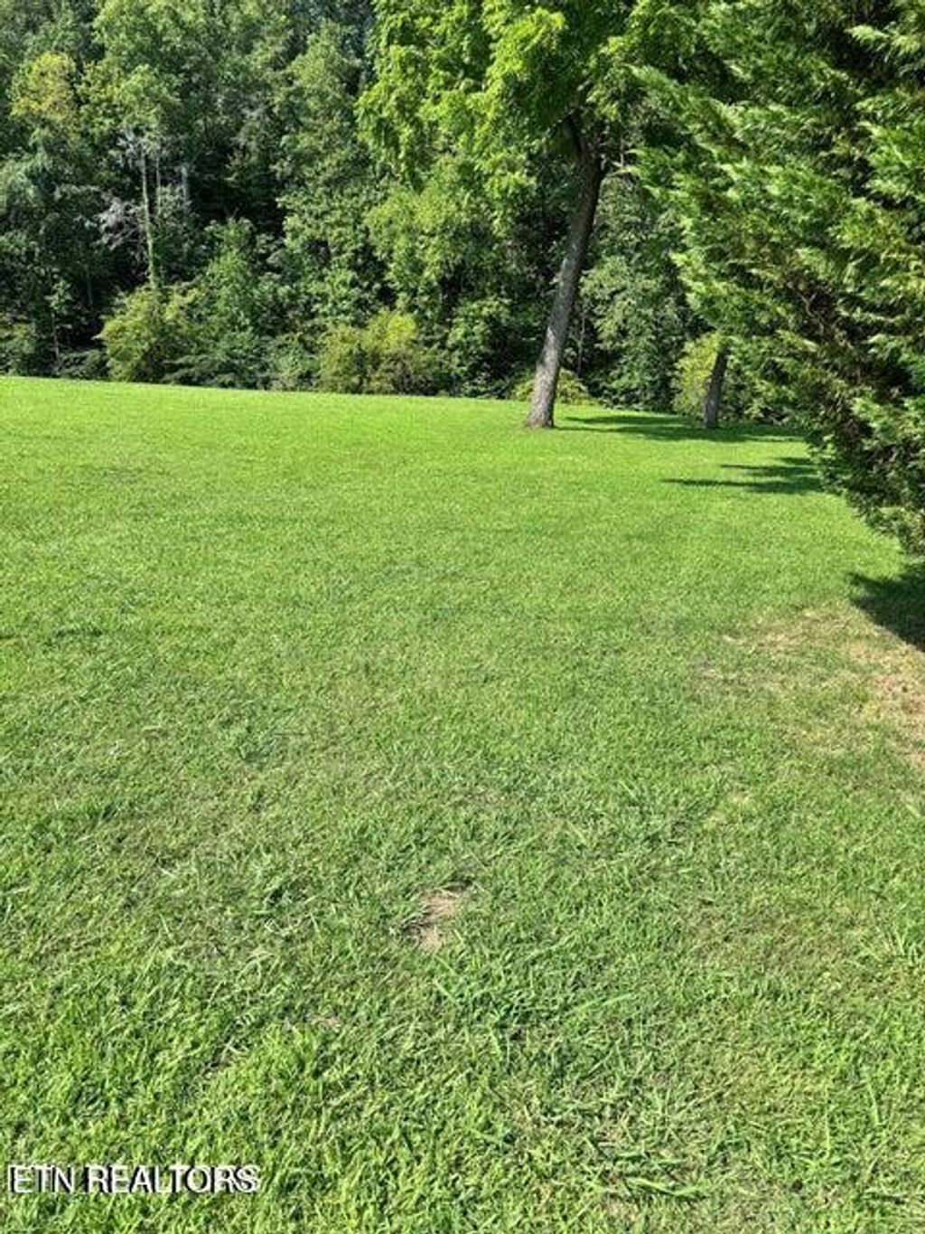 Photo of River Bank Rd #34, Pigeon Forge, TN 37863 (MLS # 1334050)