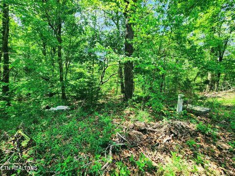 Tiny photo for Evergreen Cove, Kingston, TN 37763 (MLS # 1342254)