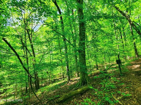 Tiny photo for Evergreen Cove, Kingston, TN 37763 (MLS # 1342254)