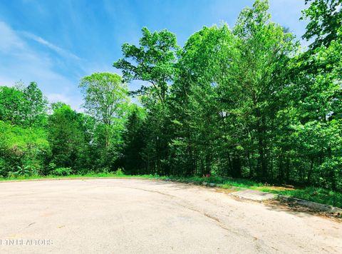 Tiny photo for Evergreen Cove, Kingston, TN 37763 (MLS # 1342254)