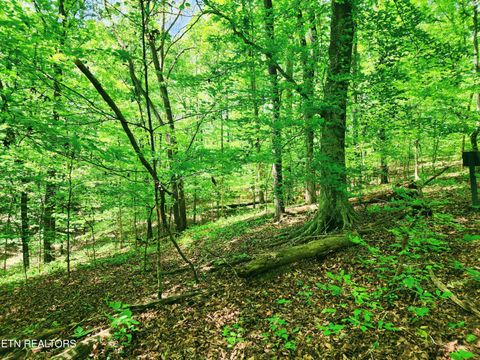 Tiny photo for Evergreen Cove, Kingston, TN 37763 (MLS # 1342254)