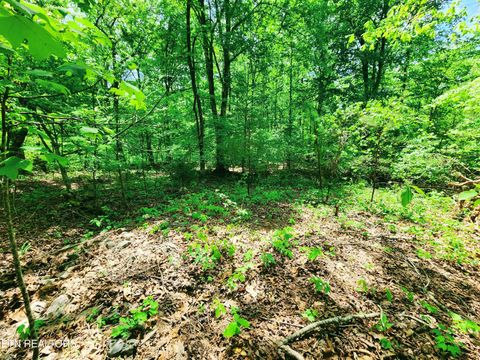 Tiny photo for Evergreen Cove, Kingston, TN 37763 (MLS # 1342254)