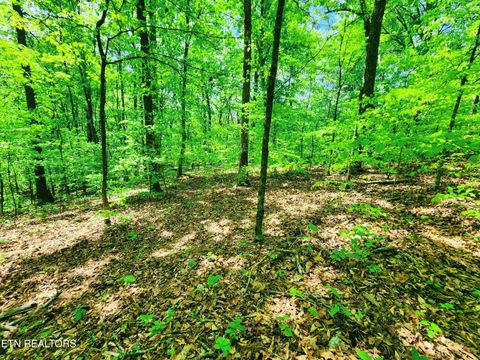 Tiny photo for Evergreen Cove, Kingston, TN 37763 (MLS # 1342254)