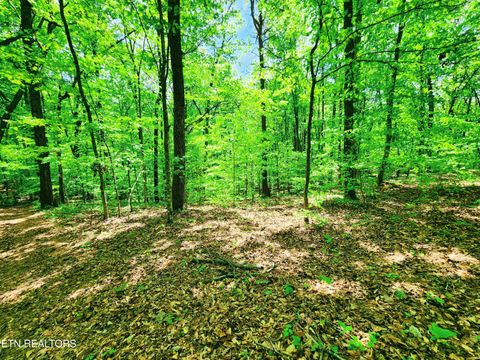 Tiny photo for Evergreen Cove, Kingston, TN 37763 (MLS # 1342254)