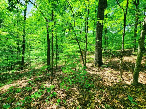 Tiny photo for Evergreen Cove, Kingston, TN 37763 (MLS # 1342254)
