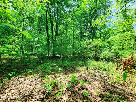 Tiny photo for Evergreen Cove, Kingston, TN 37763 (MLS # 1342254)
