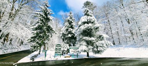 Tiny photo for Evergreen Cove, Kingston, TN 37763 (MLS # 1342254)