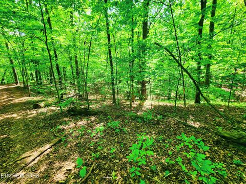 Tiny photo for Evergreen Cove, Kingston, TN 37763 (MLS # 1342254)