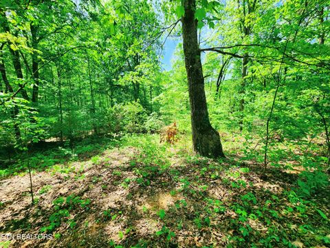 Tiny photo for Evergreen Cove, Kingston, TN 37763 (MLS # 1342254)