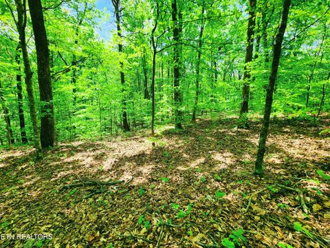 Tiny photo for Evergreen Cove, Kingston, TN 37763 (MLS # 1342254)