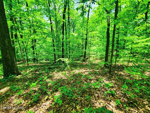 Tiny photo for Evergreen Cove, Kingston, TN 37763 (MLS # 1342254)
