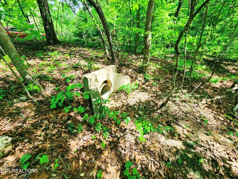 Tiny photo for Evergreen Cove, Kingston, TN 37763 (MLS # 1342254)