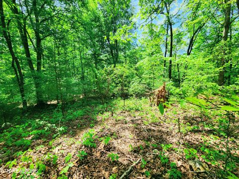 Tiny photo for Evergreen Cove, Kingston, TN 37763 (MLS # 1342254)