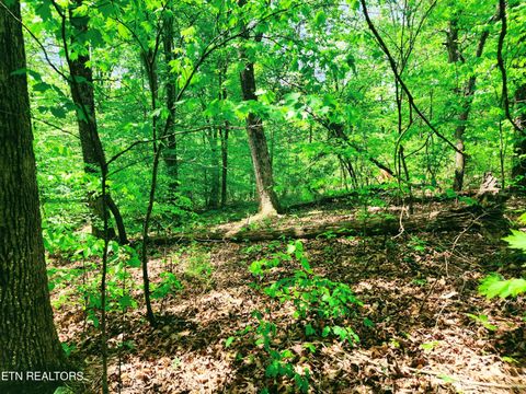 Tiny photo for Evergreen Cove, Kingston, TN 37763 (MLS # 1342254)