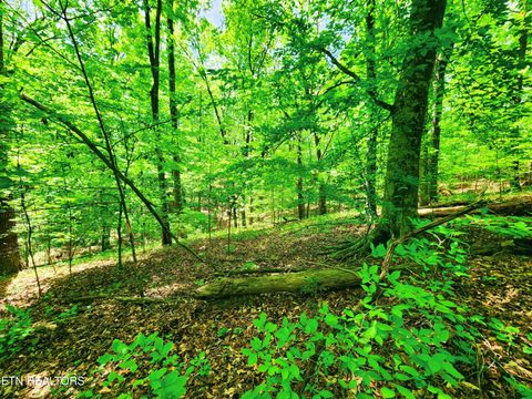 Tiny photo for Evergreen Cove, Kingston, TN 37763 (MLS # 1342254)