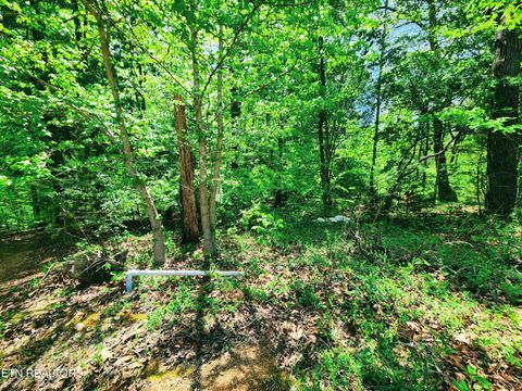 Tiny photo for Evergreen Cove, Kingston, TN 37763 (MLS # 1342254)