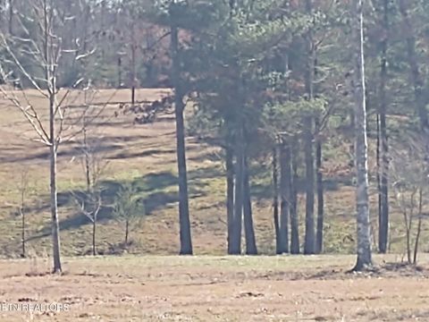 Tiny photo for 1241 Twin Bridge Rd, Deer Lodge, TN 37726 (MLS # 1324283)