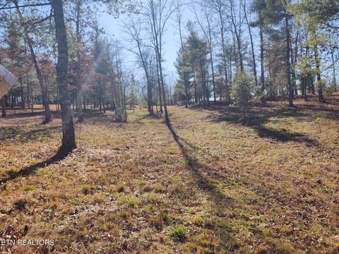Tiny photo for 1241 Twin Bridge Rd, Deer Lodge, TN 37726 (MLS # 1324283)