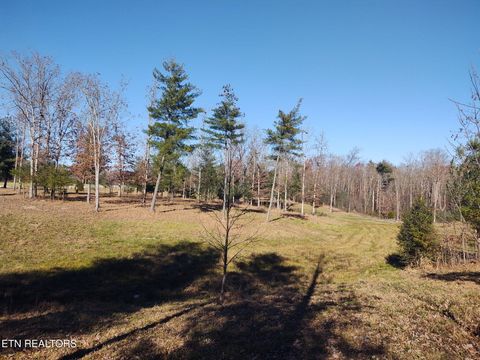 Tiny photo for 1241 Twin Bridge Rd, Deer Lodge, TN 37726 (MLS # 1324283)
