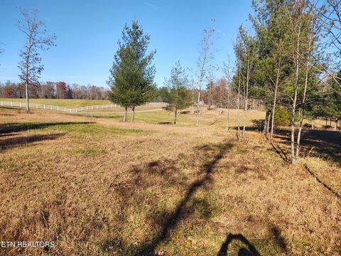 Tiny photo for 1241 Twin Bridge Rd, Deer Lodge, TN 37726 (MLS # 1324283)