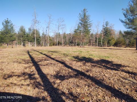 Tiny photo for 1241 Twin Bridge Rd, Deer Lodge, TN 37726 (MLS # 1324283)