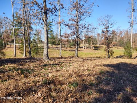 Tiny photo for 1241 Twin Bridge Rd, Deer Lodge, TN 37726 (MLS # 1324283)