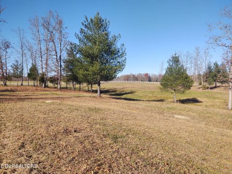 Tiny photo for 1241 Twin Bridge Rd, Deer Lodge, TN 37726 (MLS # 1324283)