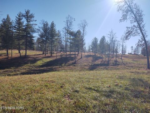 Tiny photo for 1241 Twin Bridge Rd, Deer Lodge, TN 37726 (MLS # 1324283)