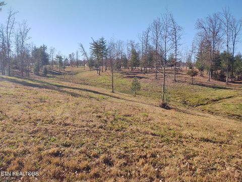 Tiny photo for 1241 Twin Bridge Rd, Deer Lodge, TN 37726 (MLS # 1324283)