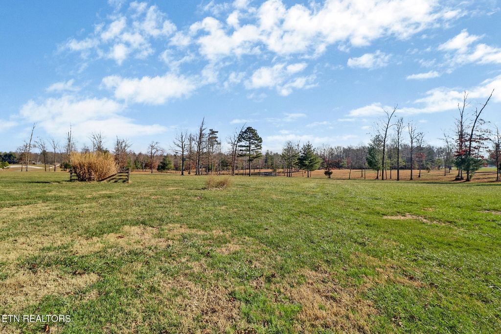 Photo of 1241 Twin Bridge Rd, Deer Lodge, TN 37726 (MLS # 1324283)