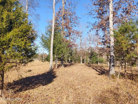Tiny photo for 1241 Twin Bridge Rd, Deer Lodge, TN 37726 (MLS # 1324283)