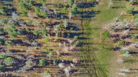 Tiny photo for 1241 Twin Bridge Rd, Deer Lodge, TN 37726 (MLS # 1324283)