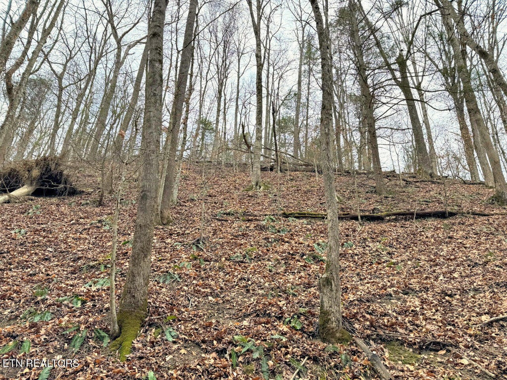 Photo of 520 Jonny Carrier Hollow Rd, Bluff City, TN 37618 (MLS # 1359085)