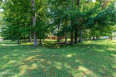 Tiny photo for 167 Manhattan Ave, Oak Ridge, TN 37830 (MLS # 1349932)