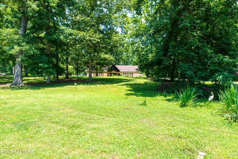 Tiny photo for 167 Manhattan Ave, Oak Ridge, TN 37830 (MLS # 1349932)