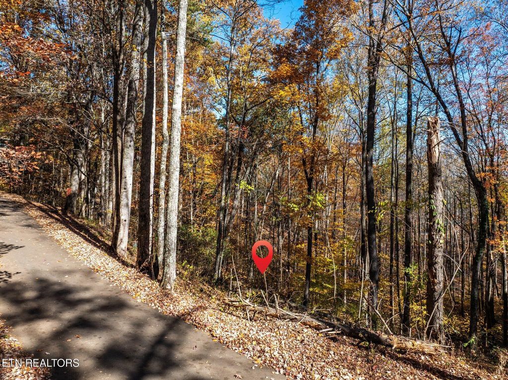 Photo of Grassy Branch Loop, Sevierville, TN 37876 (MLS # 1321335)