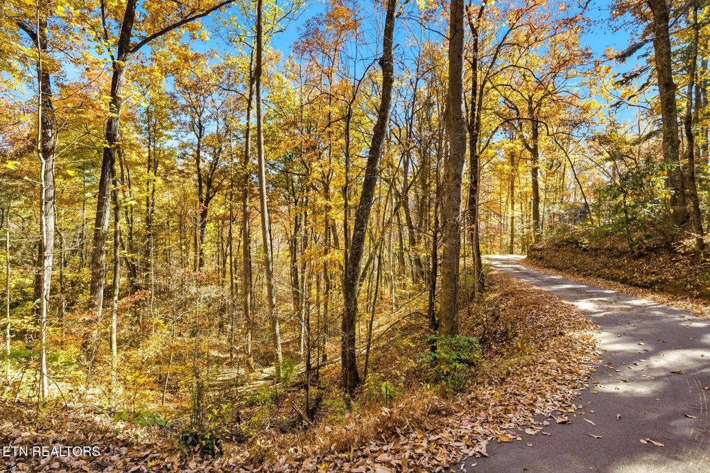 Photo of Grassy Branch Loop, Sevierville, TN 37876 (MLS # 1321335)