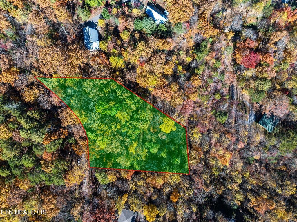 Photo of Grassy Branch Loop, Sevierville, TN 37876 (MLS # 1321335)