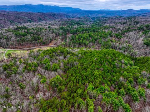 57.09 acs Rafter Rd Tellico Plains TN 37385