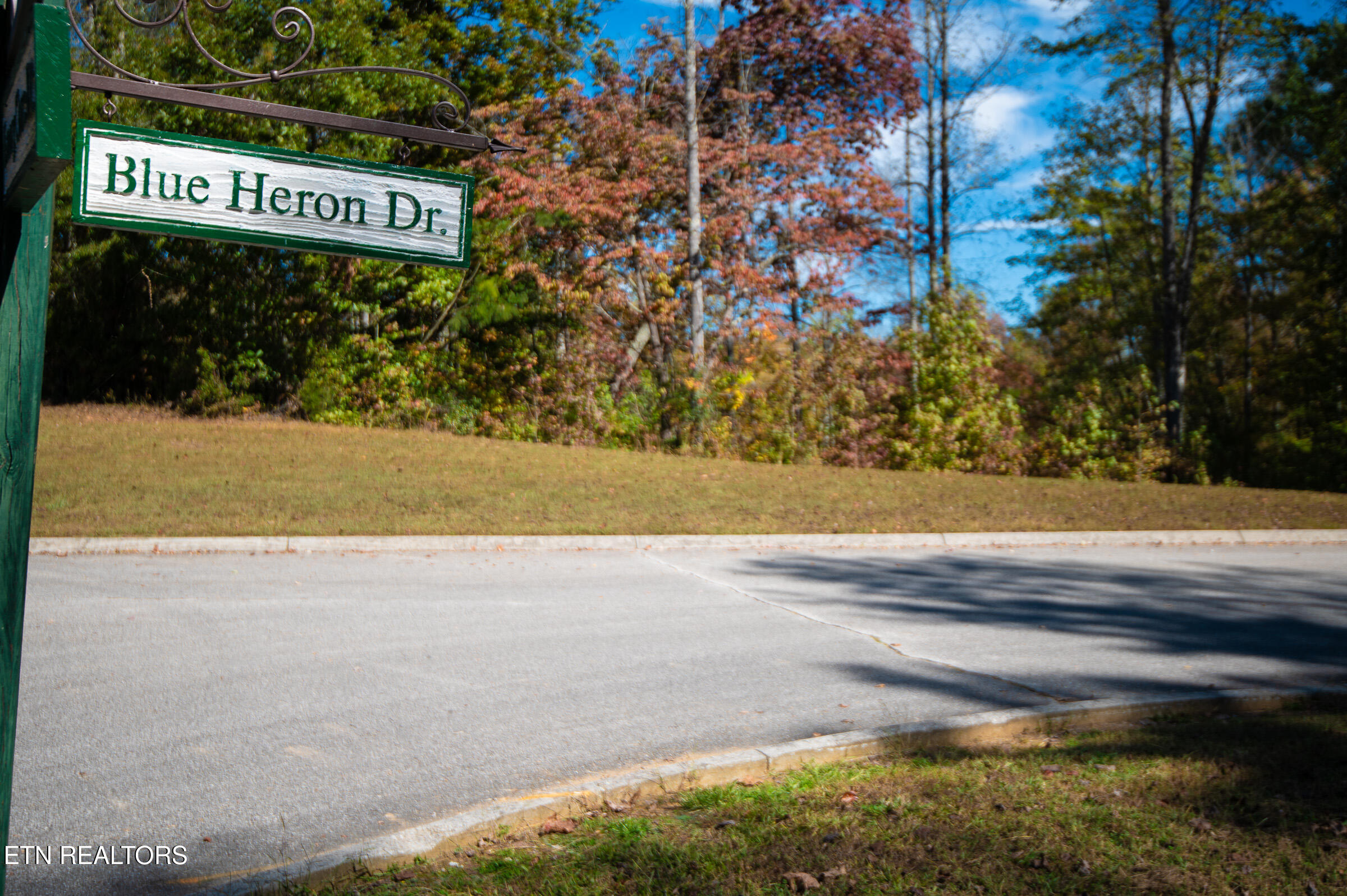 203 Blue Heron Dr. Drive