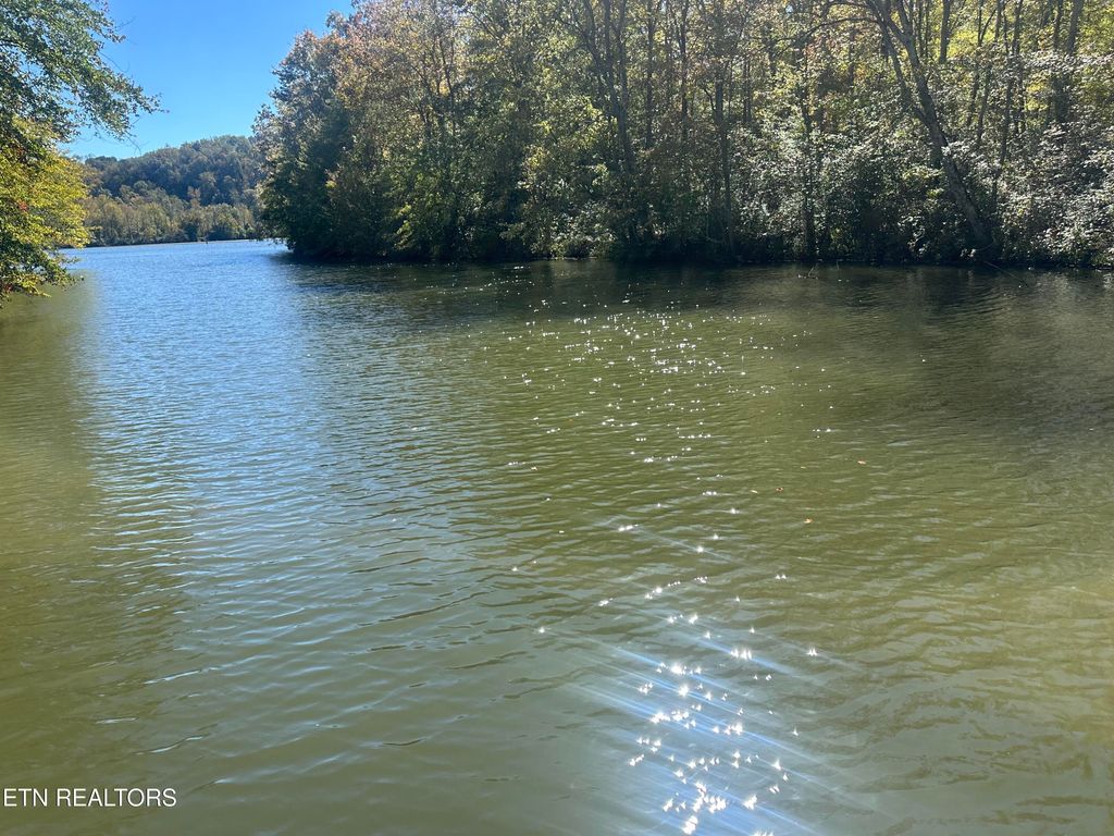 Photo of 203 Blue Heron Dr. Drive, Harriman, TN 37748 (MLS # 1318750)