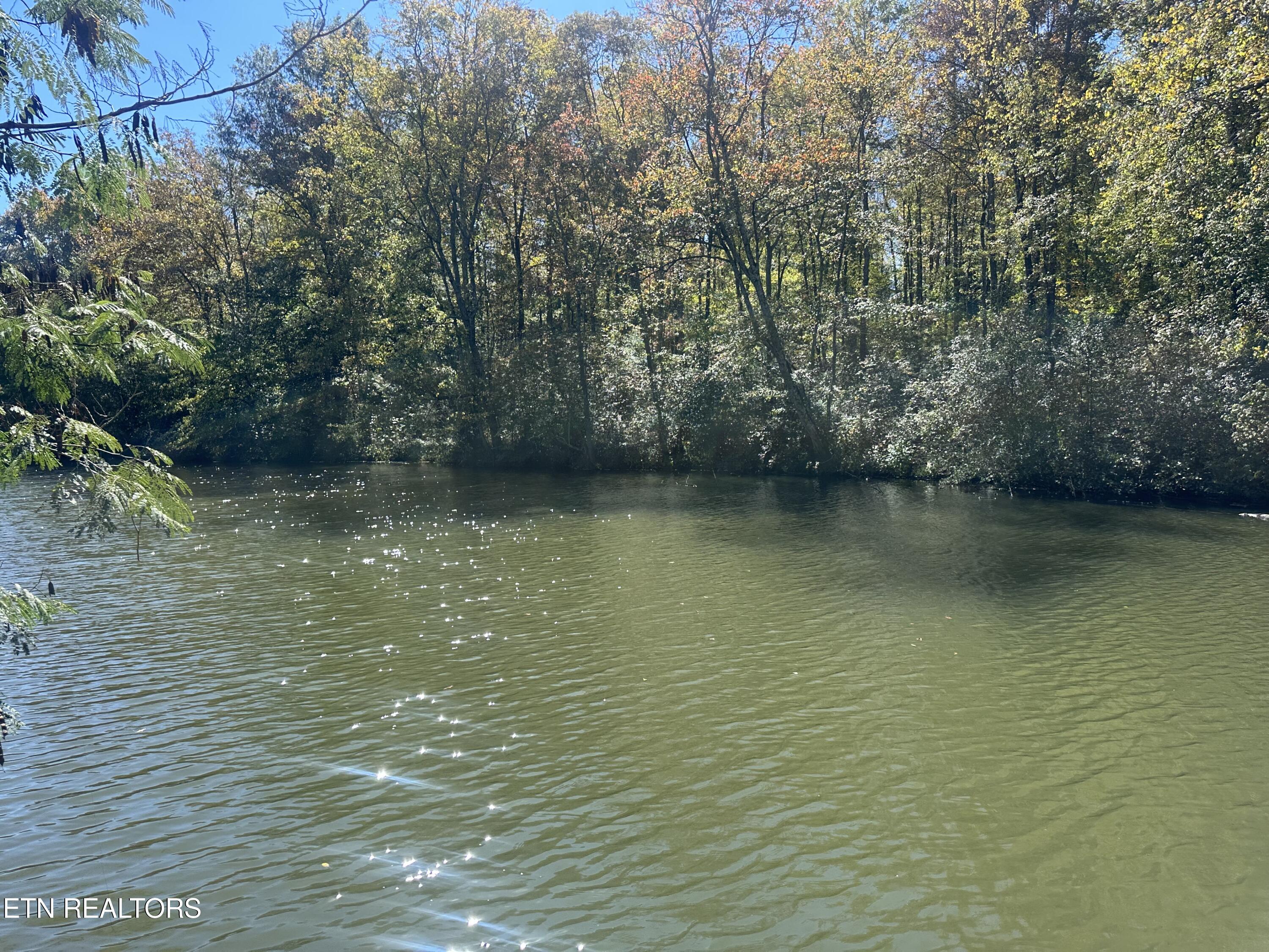 203 Blue Heron Dr. Drive