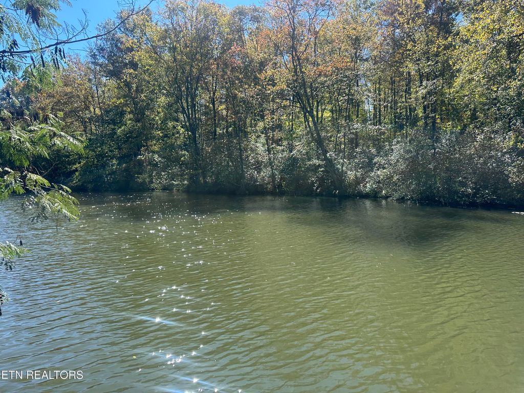 Photo of 203 Blue Heron Dr. Drive, Harriman, TN 37748 (MLS # 1318750)