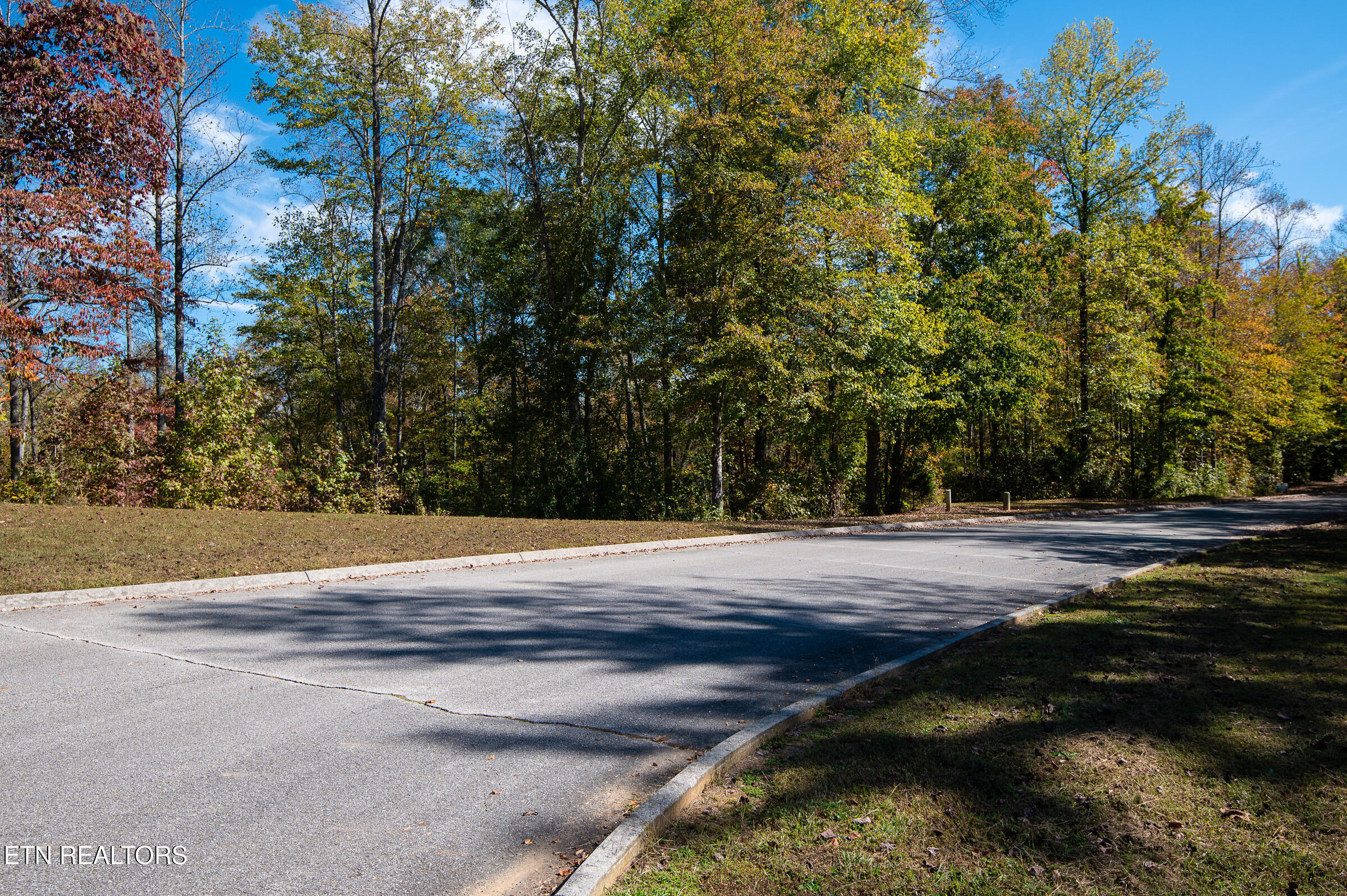 203 Blue Heron Dr. Drive