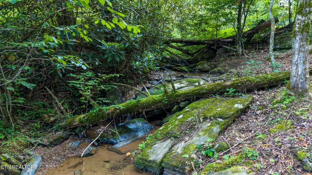 Photo of 00 Cane Creek Mtn Rd, Tellico Plains, TN 37385 (MLS # 1311280)