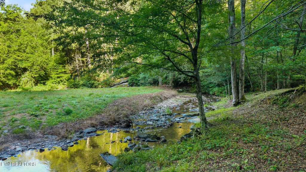 Photo of 00 Cane Creek Mtn Rd, Tellico Plains, TN 37385 (MLS # 1311280)